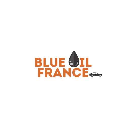 Blue oil france