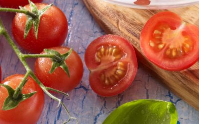 Pollinisation des tomates : comment ca marche.