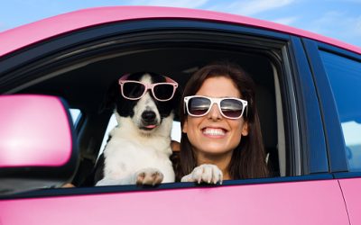 Conduire en toute securite avec des lunettes protectrices