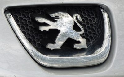 Bruit de ventilation : trois bruit de ventilation sur Peugeot 307 à savoir