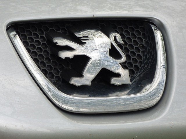 Bruit de ventilation : trois bruit de ventilation sur Peugeot 307 ...